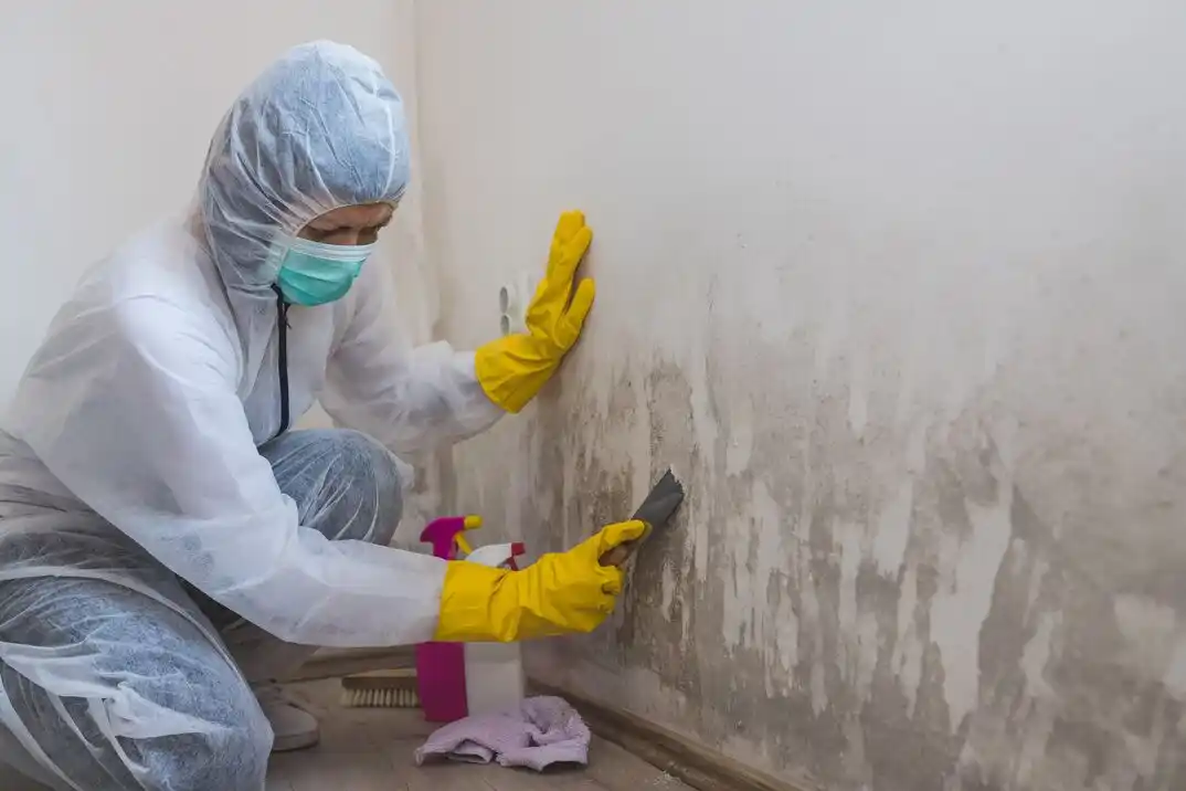 water damage restoration service Riverwalk Ranch